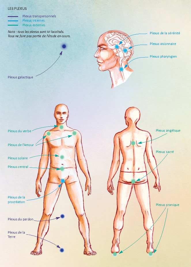 position-plexus-guerisseurs