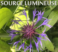 logo-source-lumineuse